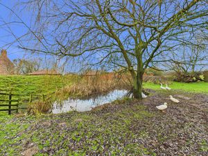 Pond & Goat's Mound- click for photo gallery